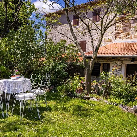 Casa Rustica 1838 Holiday home Sovinjak